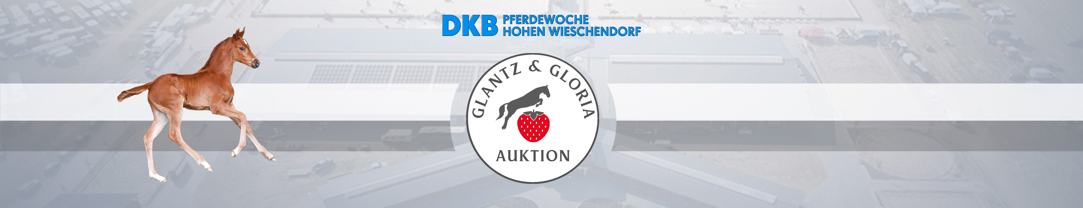 Pferdefohlen vor einer Auktionshalle, dynamische Pose, braun und weiß, Firmenlogo mit Erdbeere.