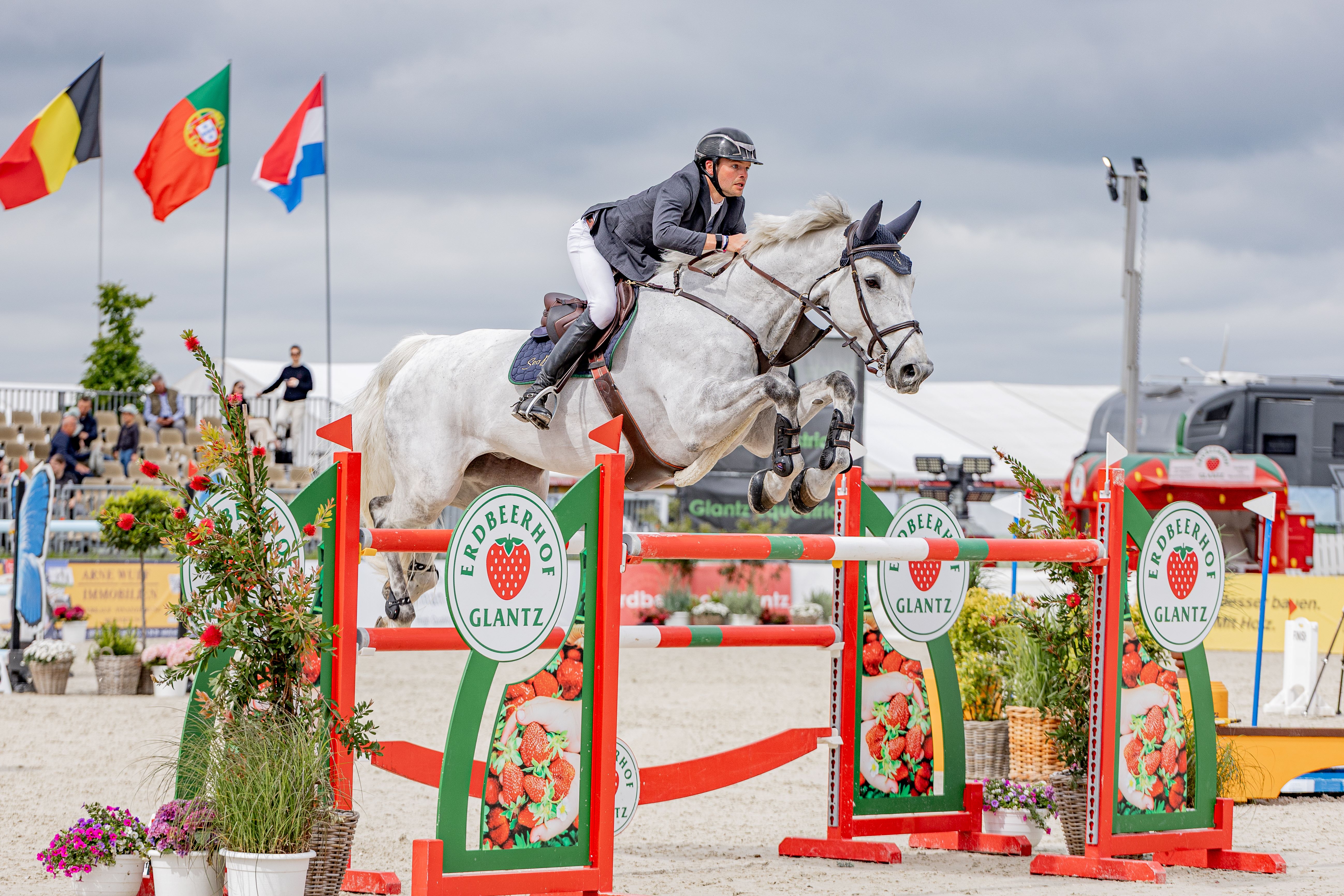 Reiterin konzentriert auf grauem Pferd über roten Parcours mit Blumen